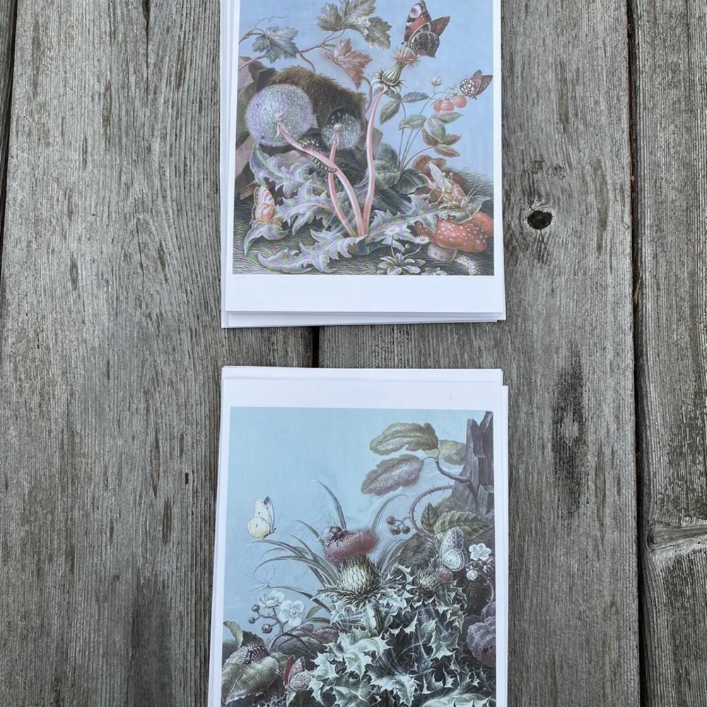 Christov Ludwig Agricola 10 Blank Art Note Cards Plants And Insects Pomegranate